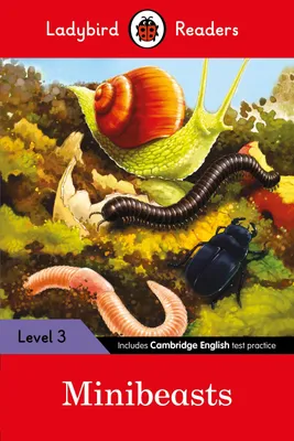 Produktbild von Minibeasts - Ladybird Readers Level 3