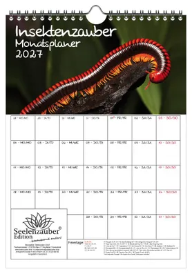Produktbild von Insektenzauber Planer DIN A4 Kalender für 2027 - Seelenzauber