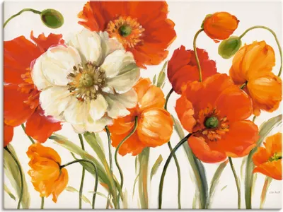 Produktbild von Lisa Audit: Mohnblumen I, Produkt:Leinwand, Größe:45x60 cm / Leinwand