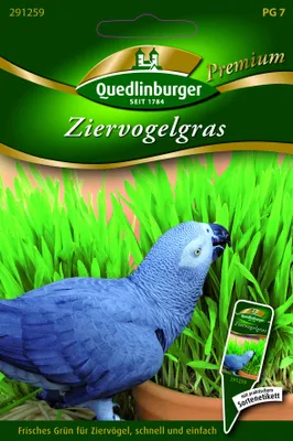 Produktbild von Ziergras Vogelziergras Gründünger 25 g für ca. 10 Töpfe
