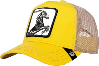 Image de Casquette Goorin Bros 101-0393-YEL pour Uni