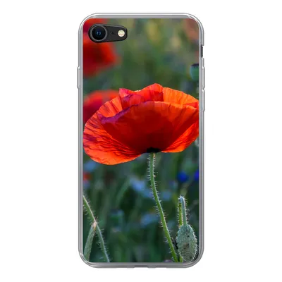 Produktbild von MuchoWow® Handyhülle Schutzhülle Hülle für iPhone SE 2020 Bunte Mohnblumen in den Niederlanden Silikon Softcase Handy Hülle - Kartenbesitzer