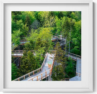 Produktbild von Ein Weg in Krynica Zdrój– Wandbild mit Rahmen – Gerahmtes Bild  – Wanddekoration – 50x50 cm –  Weiß Rahmen