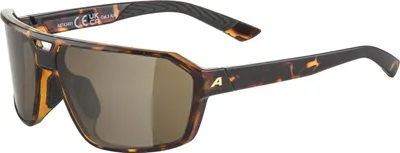 Produktbild von ALPINA SWIFT brown-grey matt brown-grey matt -