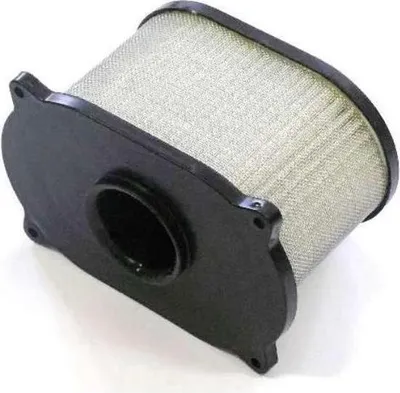 Obrázok produktu pre Vzduchový filter pre SUZUKI SV 650 S 1999-2002, 3780-20F00