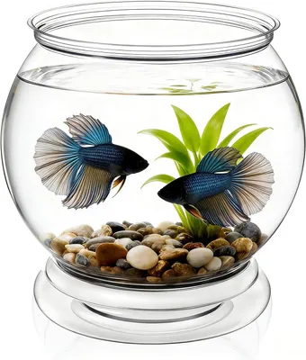 Imagen del producto de Mini acuario redondo, de plástico, transparente, con capacidad de 10 litros, ideal para peces dorados