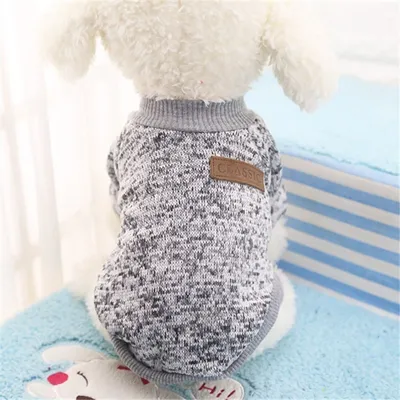 Image de Sweat-shirt pour chien - Gris L