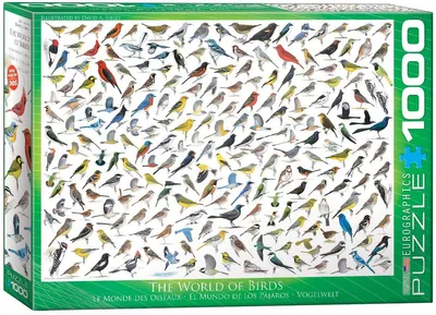 Produktbild von 1000 Teile Puzzle - Puzzle - Die Welt der Vögel + DeLuxe 3er Set Puzzle Zubehör