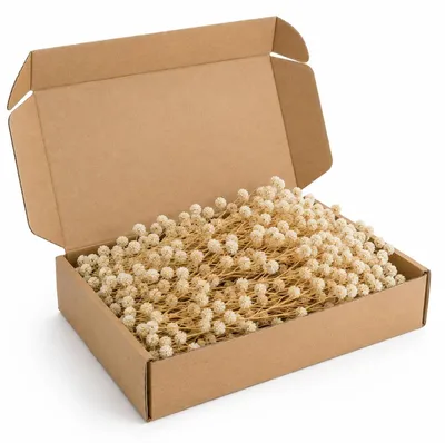 Produktbild von Trockenblumen Schleierkraut Weiß 50 Stiele 10-12 cm