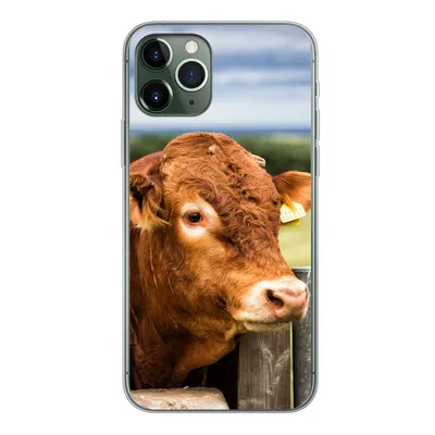 Produktbild von MuchoWow® Handyhülle Schutzhülle Hülle für iPhone 11 Pro Schottischer Highlander - Berg - Zaun Silikon Softcase Handy Hülle - Handy