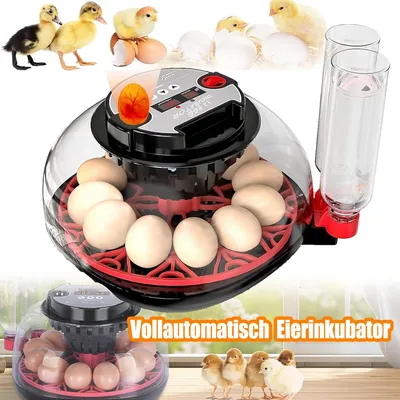 Produktbild von Inkubator Brutkasten Brutmaschine Vollautomatisch Brutapparat Brutautomat 12Eier