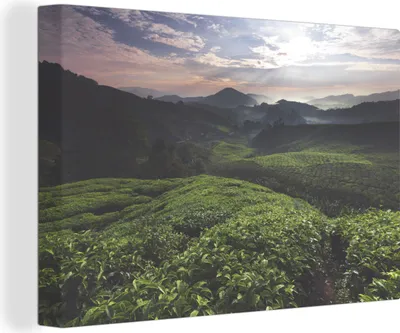 Produktbild von OneMillionCanvasses® - Leinwandbilder - 140x90 cm, Sonnenaufgang über der Teeplantage, Wandbilder Kunstdruck Wanddekoration