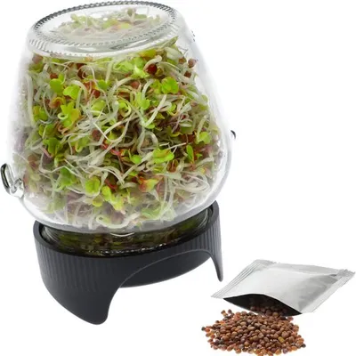 Produktbild von Keimglas Twist-Off + Radieschensamen KEIMGERäT KEIMBOX Keimgarten