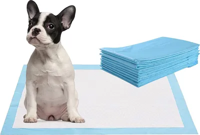 A French Bulldog puppy sits on a puppy training pad, with a stack of blue training pads in the background.