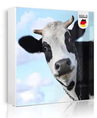 Zdjęcie produktu dla banjado metalowa szafka na klucze, duża 30x30 cm z 32 haczykami, może służyć jako tablica magnetyczna, biały korpus, zawias po lewej stronie, Muh [SKGW2 10104]