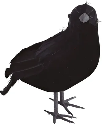 Produktbild von Dekoration Ornament Schwarzer Rabe Krähe Saatkrähe Vogel Halloween 25cm