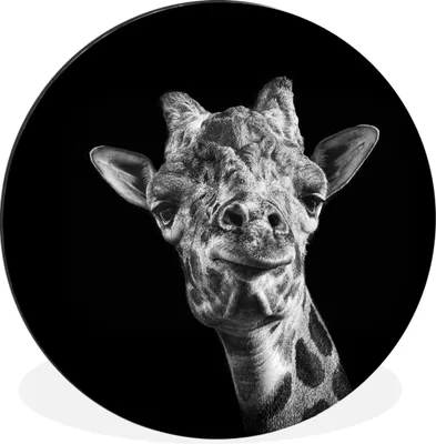 Produktbild von MuchoWow® Aluminium Wandkreis Giraffe vor schwarzem Hintergrund in schwarz und weiß Ø 90 cm Wanddeko Modern Wohnzimmer - Mauerkreis - Wandbilder - Runde Bild - Bild aus Aluminium - Schlafzimmer - Wohnzimmerdekoration - Wand Dekoration