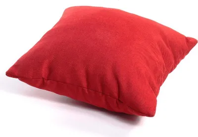 Image de Coussins pour palettes PPF (Coussin décoratif 40x40, Rouge)
