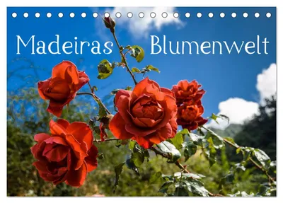 Produktbild von Madeiras Blumenwelt (Tischkalender 2027 DIN A5 quer), CALVENDO Monatskalender