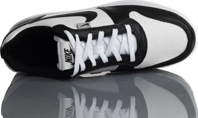 Obrázok produktu pre Nike Obuv Ebernon Low Prem, AQ1774102