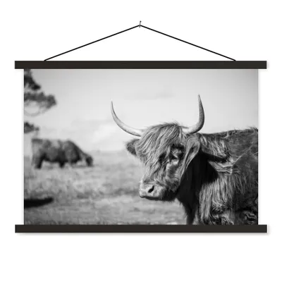 Produktbild von MuchoWow® Textilposter Schottischer Highlander - Tiere - Schwarz - Weiß 120x80 cm mit schwarzem Rahmen - Wanddeko