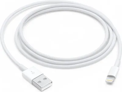 Image de Câble Apple Lightning vers USB (1 m)