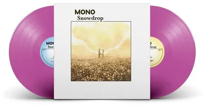 Immagine prodotto di Snowdrop - boysenberry Vinyl-