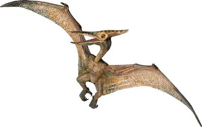 Obrázok produktu pre Pteranodon
