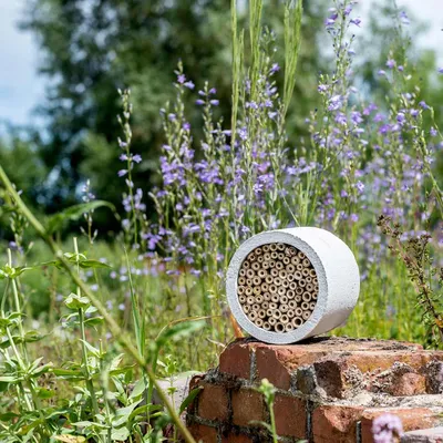 Produktbild von Insektenhotel WoodStone "Isabela", hellgrau