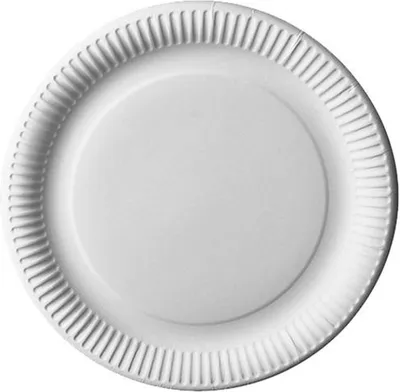 Produktbild von 240 Papstar Teller, Pappe pure rund Ø 29 cm weiss 81205 Pappteller Einwegteller Partyteller