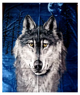 Produktbild von Kuscheldecke mit Wolf-Motiv und Mond 160x200 cm