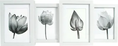 Produktbild von Bilderrahmen Collage Multi Classic Case weiß 55 x 20,8 cm - 4 Fotos