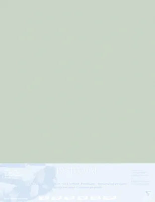 Produktbild von Clairefontaine Papier für Pastellmalerei 5 Bogen 70x100cm Dunkelgrau 396019C
