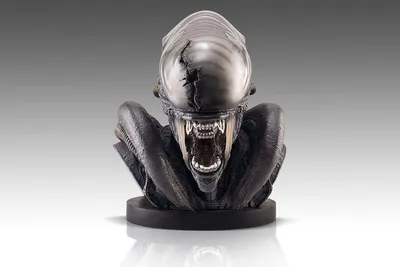 Image de Buste Alien Romulus 1/1 Xenomorph 53 cm