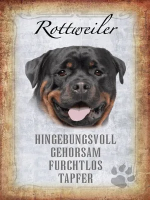 Produktbild von vianmo Holzschild 40x30 cm Rottweiler Hund