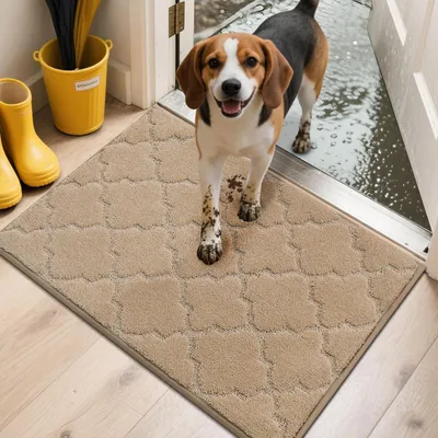 Produktbild von Fussmatte Innen 50 x 80 cm Schmutzfangmatte Beige
