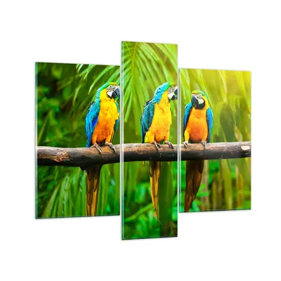 Produktbild von Bilder auf glas - Papageien Collorful Natur Vögel - 95x80cm - Glasbilder - Wandbilder - Kunstdruck - zum Aufhängen bereit - Wanddekoration aus Glas - Glas Bilder - Wandbild auf Glas - GCB95x80-2696