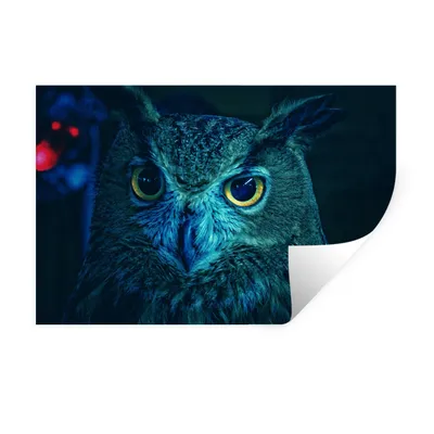 Produktbild von MuchoWow® Wandtattoo Wandsticker Wandaufkleber Türkisfarbene Eule 120x80 cm Selbstklebend und Repositionierbar - Selbstklebend - Fototapeten