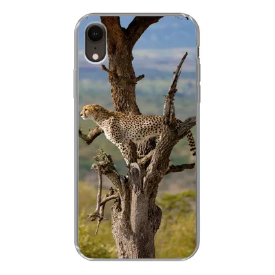 Produktbild von MuchoWow® Handyhülle Schutzhülle Hülle für iPhone XR Leopard - Baum - Tier Silikon Softcase Handy Hülle - Schutzdeckel