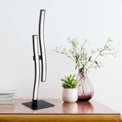 Image de Lampe de table LED, métal, noir, H 44 cm
