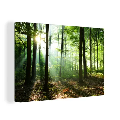 Obrázek produktu pro OneMillionCanvasses® Malba na plátně Nástěnná malba na plátně - Les - Slunce - Listy - 150x100cm