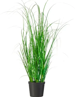 Produktbild von Kunstpflanze Gras, GRASBUSCH IM TOPF. Ca. 60cm. OHNE Übertopf.