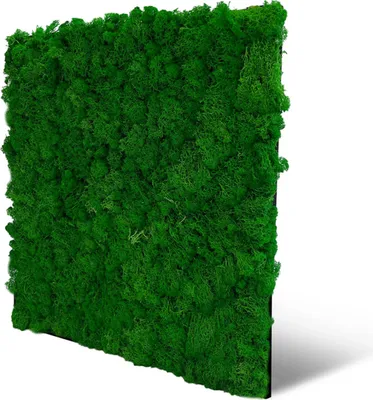 Produktbild von 0,27m² 3d Paneele Moos Paneelen Mooswand Wandpaneele Deckenpaneele Schalldämmung PET Filz (11100 - Natur Grün)