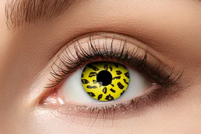 Produktbild von Yellow Leopard Kontaktlinsen. Gelbe Motivlinsen.