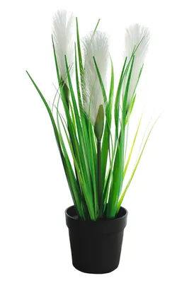 Obrázok produktu pre Umelá tráva pampas 40 cm Umelá tráva Dekoratívna rastlina Malá izbová rastlina