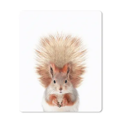 Produktbild von MuchoWow® Mauspad Mousepad Eichhörnchen - Tiere - Natur - Orange - Weiß 30x40 cm - Mousepads - Maus Mat - Pad - Mausunterlage - Mausmatten