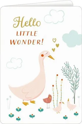 Produktbild von Grußkarte - Hello Little Wonder!