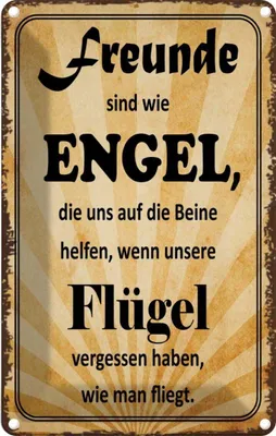 Produktbild von vianmo Blechschild 30x20 cm Freunde sind wie Engel die uns Familie