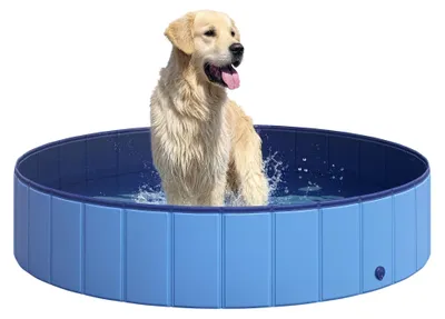 Produktbild von Hundepool - Planschbecken für Hunde - Aus Kunststoff - Für Garten und Terrasse - Schwimm- und Spielpool - Blau