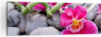 Produktbild von Bild auf Leinwand - Leinwandbild - Asiatisch bambus orchidee steine - 160x50cm - Wand Bild - Wanddeko - Leinwanddruck - Bilder - Kunstdruck - Leinwand bilder - Wandkunst - AB160x50-0465